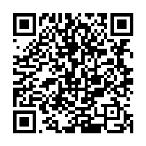 无数璀璨的能量光辉也源源不断的轰击在了那青色光罩之上二维码生成