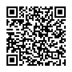 无数的人的鲜血与尸骨肥沃着这片本就茂密的丛林你二维码生成