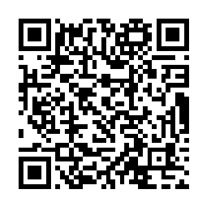 无数的剑气在烽彤剑的引领下朝着青衫男子刺了过去二维码生成