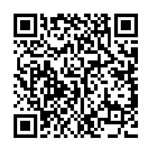 无数的剑气纵横・在地面上和周围的巨树上留下了无数到剑痕二维码生成