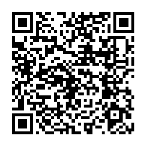 无数的各种各样的傀儡也是疯狂的朝着龙傲天和雷兽两个人的身上狂涌而来二维码生成