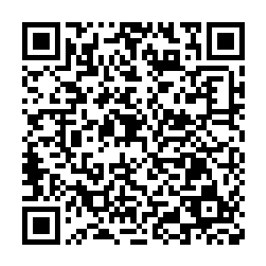 无数的轮回之力汇聚成了一道道的光芒交织成了一个小小的祭坛一般二维码生成