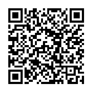 无数的鲜血和巨大的内脏就从这色的肚子之中甩了出来二维码生成