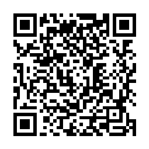 无数血肉残骸甚至是内脏也从他破开的胸口在激射而出二维码生成