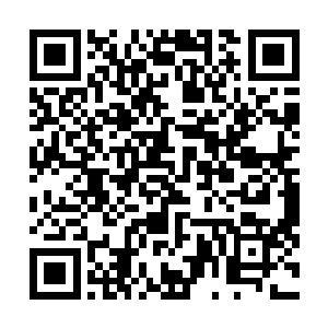 无数道微弱却似乎永远不会消逝的气息波动向着夜空飘去二维码生成