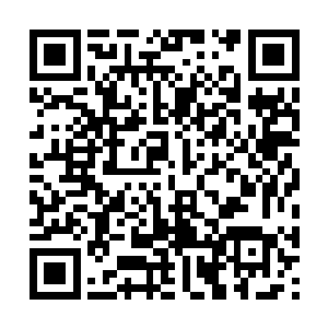 无数魔修的尸体躺在地上与那些修士的堆积在一起二维码生成