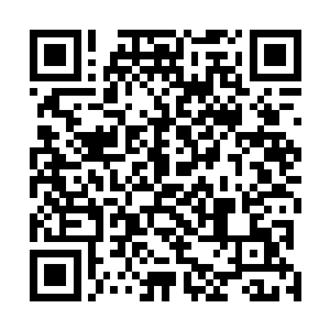 无极宗怕是也不会因为她一个修士就和三圣殿公开作对的二维码生成