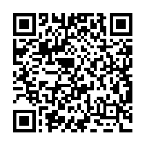 无极门内门就是父亲和小宇师弟明日将要去的地方了二维码生成