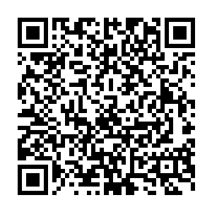 无法入睡的他在脑海中想像过无数次炎黄被异世界怪兽和新人类入侵二维码生成