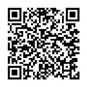 无论在口感成熟期还是保质期上都超过了仙桃村的水蜜桃二维码生成