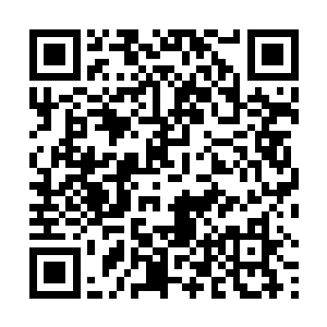 无论多冷的天气我们都只会穿着一件超薄的紧身衣行动二维码生成