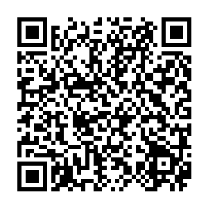 无论怎么打怎么骂他们就是站在哪里看着你傻笑口水流敞到胸口也不知道擦拭二维码生成