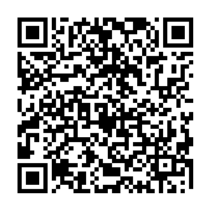 无论是吸纳的妖兽生机和魂力还是杨晨体内的灵力都如同是经过狂风巨浪的小船二维码生成