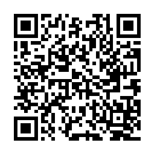 无论是木羽还是木荣的脸上都是露出了不可思议的神情二维码生成