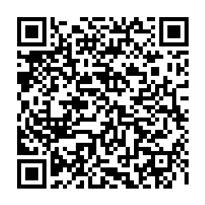 无论是相族族长还是别的妖族大人物首先想的还是希望通过谈判来说服对方二维码生成