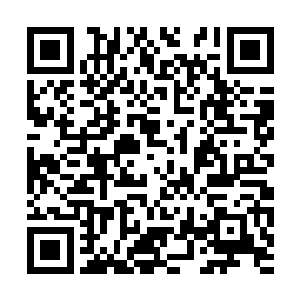 无论是范忠涛还是佟家或者其他几个家族的老狐狸二维码生成