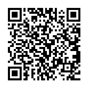 无论是距离十多米的地面还是嫩绿枝叶全部被灼烤的焦黑一片二维码生成