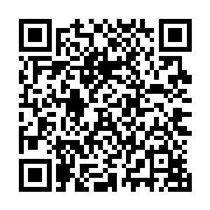 无边圣主此刻再望向叶笑的眼神竟多少存有了几许戒惧之意二维码生成