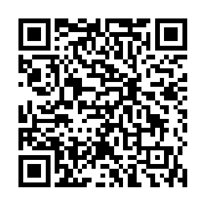 无非就是先让构成声带的细胞从单细胞核变成多细胞核二维码生成