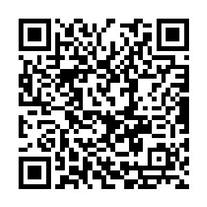 无非是无角人在西大陆的地位低的几乎跟畜牲同等二维码生成