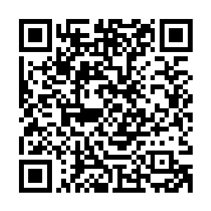 既没有那么大的力气不能打猎不能拿起武器保护家人又容易生病二维码生成