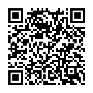 既然刚才那复合符文炮都做好了阻击他们的防御二维码生成