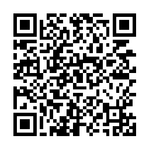 既然到了这里我就得问问村民有没有发现伊丽觉罗的踪迹二维码生成