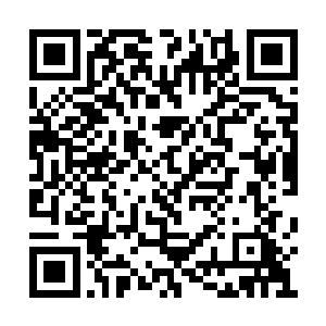 既然四公子认为他已经将一切全都掌握在手中了二维码生成