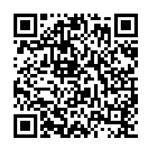 既然小仙界武者力量的增强会让小仙界更加完善二维码生成