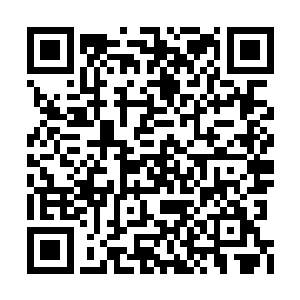 既然我都准备在整个修界帮绝世铜棺寻找宿主了二维码生成