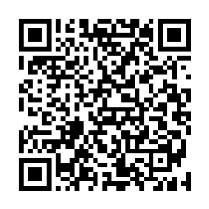 既然现在是在对洪大力这个新建公司的资产进行统计屏幕二维码生成