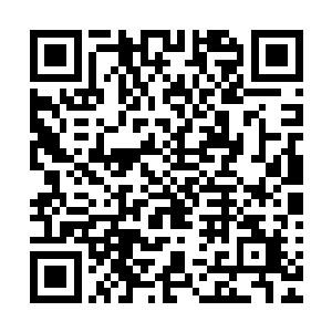 既然秦国师前往死亡北海那这一次死亡北海肯定就是要遭殃了二维码生成