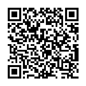 既然符天和符地两个家伙都这么看重符阳珠和符阴珠二维码生成