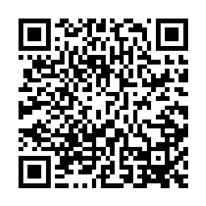 既然这黄沙之主的卵是他们从米索不达亚文明的遗迹之中获得二维码生成
