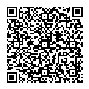 日升月落 一天的时间很快过去 风清扬依旧盘膝在地 他身上的黑光越來越浓郁 似乎要化作实质二维码生成