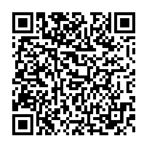 早已瞄准多时的条形码毫无延迟地掐着屏障消失的节奏发动了攻击二维码生成