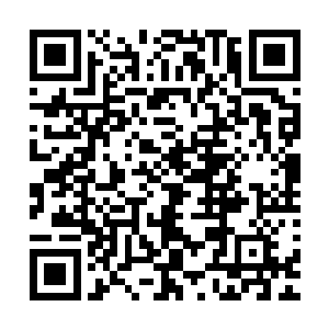 早已经卯足了劲儿的织田爱几乎不假思索地决定正面回杀……二维码生成