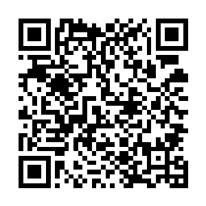 早已经将翟家密道的维护工作交给了我那不成器的逆子打理二维码生成