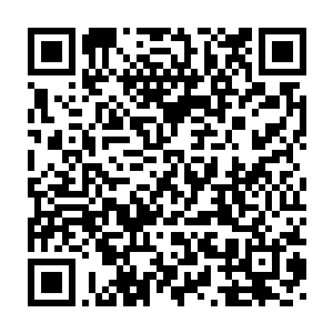 早已经被外面的枪声吓得六神无主的王淑芳和郑欣欣也顾不得害怕了二维码生成