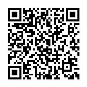 早已经认定了刀无双不会使用天冰刀来正面碰撞二维码生成