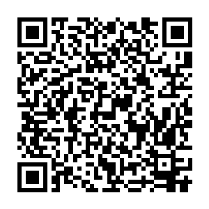 早年的时候我去魔兽域游历的时候无意中得到了几株十分珍贵的毒草二维码生成