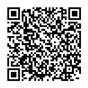 时不我待的局面也迫使昌江省委必须要支持尚权智推进先前准备的一切二维码生成