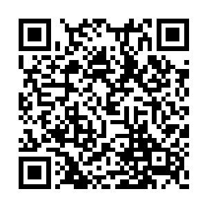 时不时抬起头用着意味深长的表情看向林辰二人二维码生成