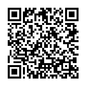 旺财无比愤怒地急忙从林诗语的房间里跑了出去二维码生成