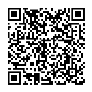 昂贵的建造费用和预期的亏损导致磁悬浮项目在德国始终无法上马二维码生成