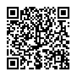 明明巨大无比的巨龙们竟是被不知名力量压制凝缩的仿若四足蛇二维码生成