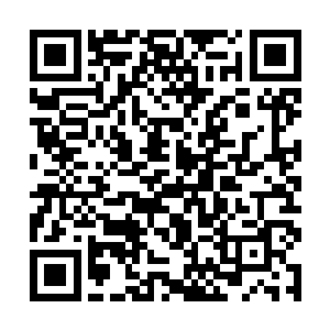 明显幺妹还没有完全原谅他们……尽管秦天楠的事情二维码生成