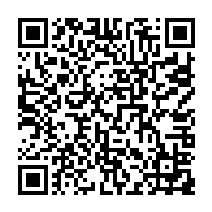 明显是将这些还没有完全控制的血脉改造人当成自己的底牌和复仇的武器了二维码生成