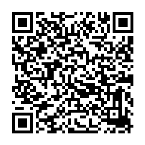 明显的灵魂波动以肉眼可见的速度从黄二爷的鬼魂中涌进颜洛儿的手掌二维码生成