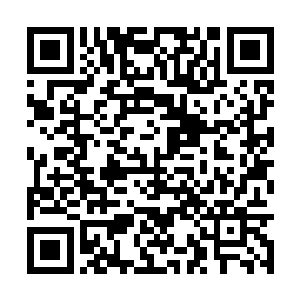 明显这里的医务人员撤离也不过就是几个月的事情二维码生成